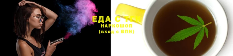 индика Абинск