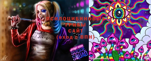 apvp Абаза