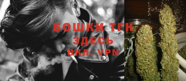индика Абинск