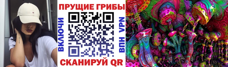Псилоцибиновые грибы Cubensis  где купить наркоту  Томилино 